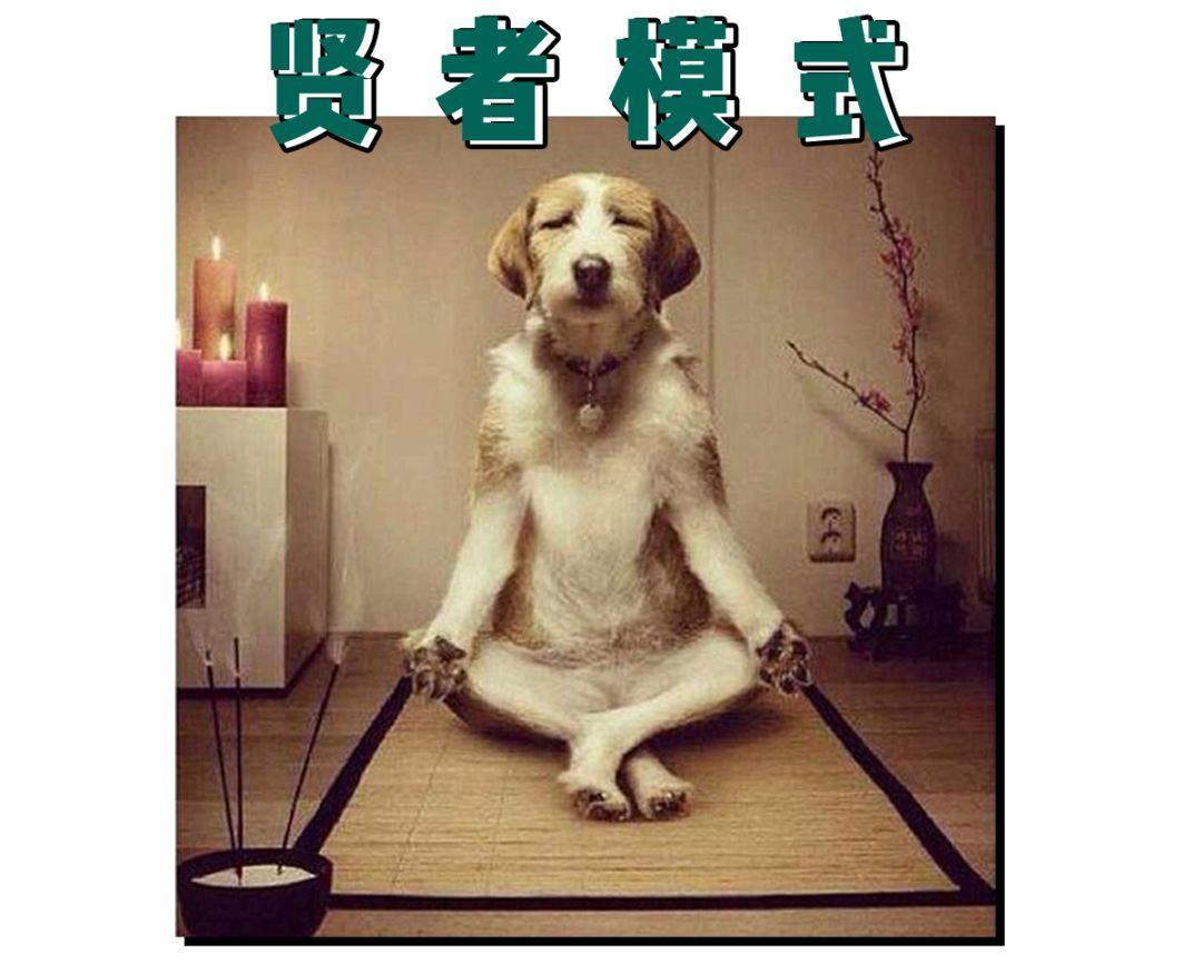 快乐冲图:萌新食用指南-相思猫 快乐冲图:萌新食用指南